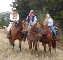 Hancock horses