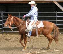 hancock mare
